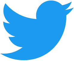 “Aiding and abetting”, da Halberstam a Twitter nell’era digitale